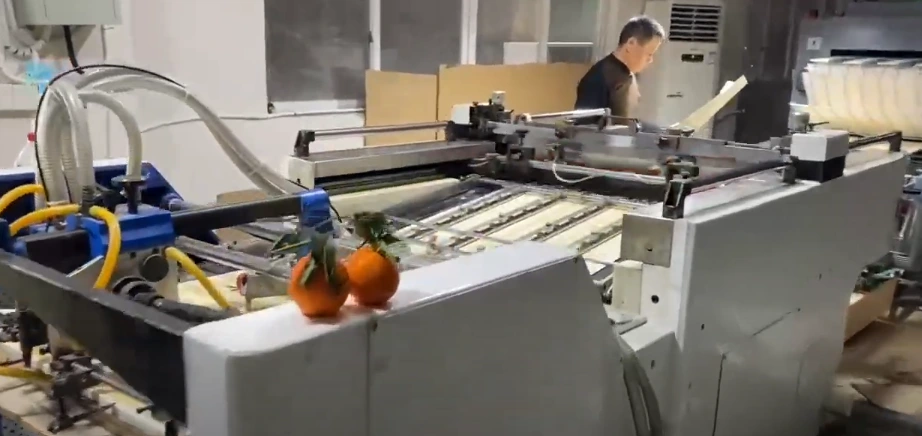 Ceramic Decal Printing Machine, High-Precision Transfer Suitable for Ceramic Tableware and Homeware